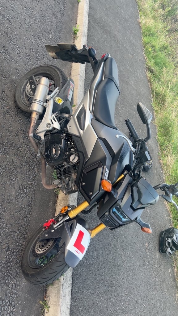 Honda, MSX, 2019, 125 (cc)