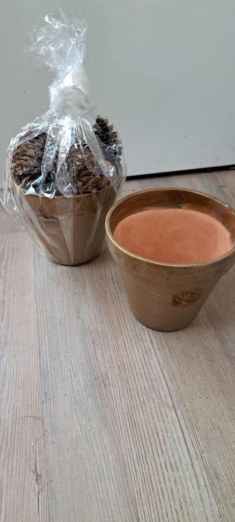 Gold Pot & dried flowers & cones assortment