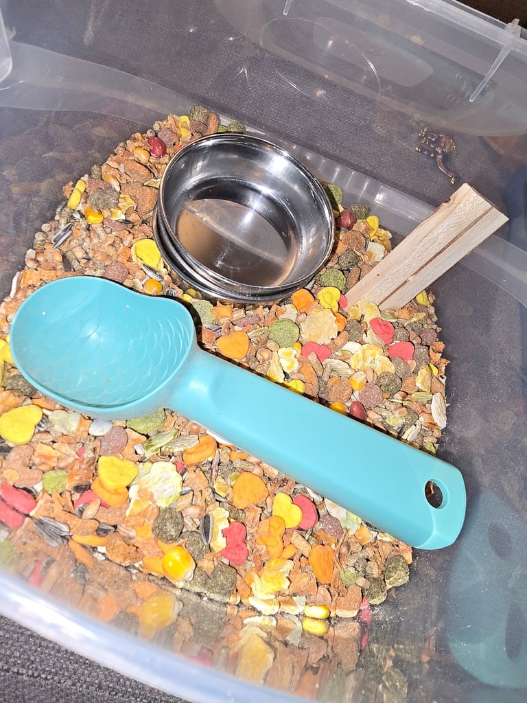 Hamster starter kit