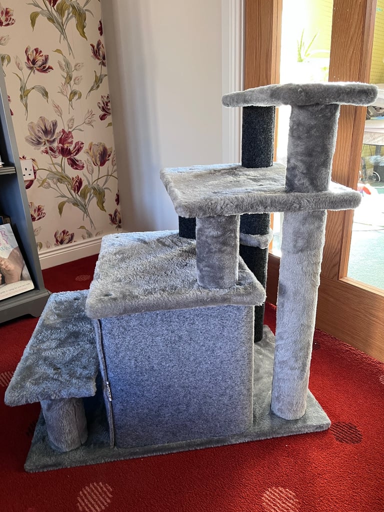 Cat Scratching Play Area 
