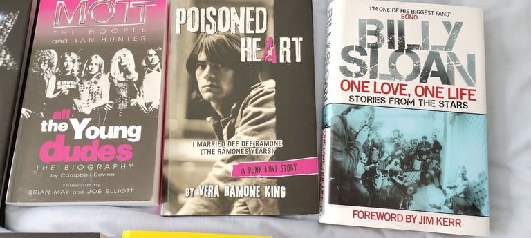 SEX PISTOLS MOTT THE HOOPLE ENGLANDS DREAMING JOHN LYDON GLAM ROCK BOOKS