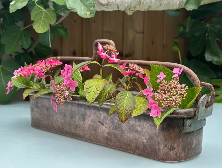ANTIQUE FRENCH COPPER FISH KETTLE, PAN, JARDINIERE, PLANTER, 58cm long 4kg - 1900s - WILL POST!