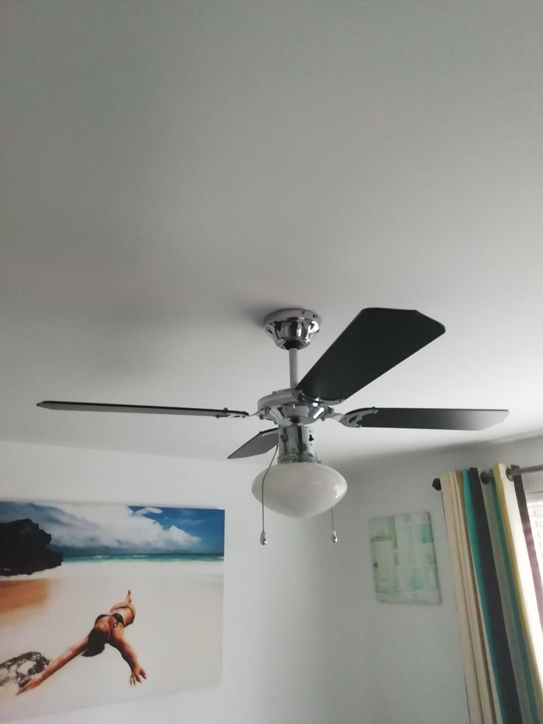 Ceiling fan light