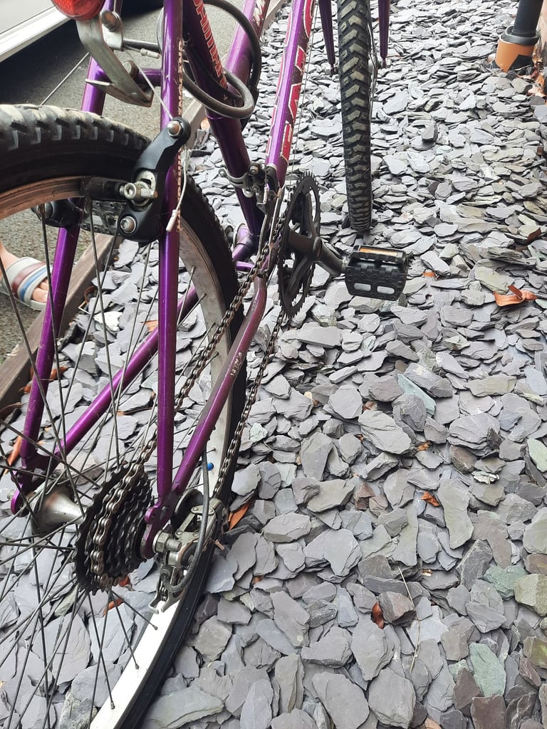 Adults Cycle / Bicycle 