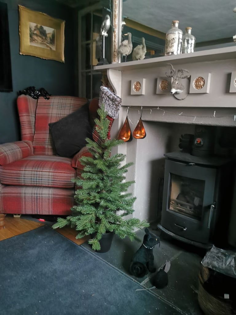 image for Newbourne Multifuel Stove