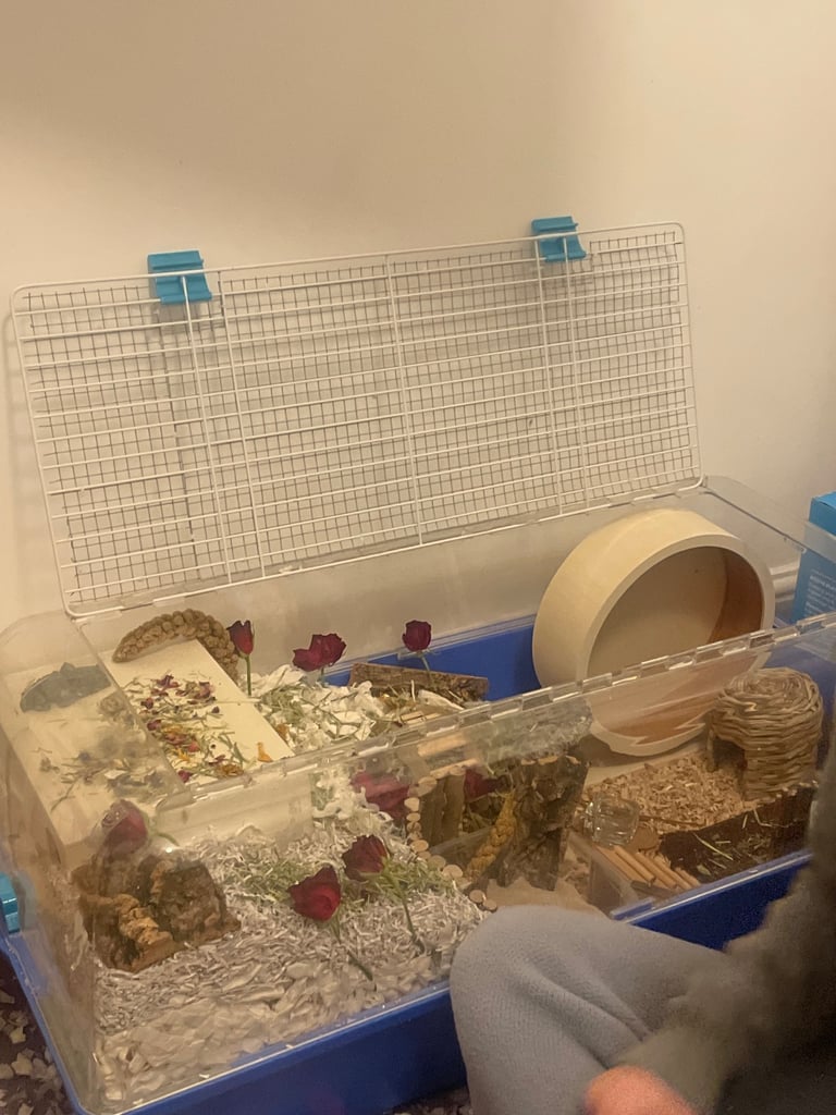 Pawhut hamster cage and lots of accessories for sale