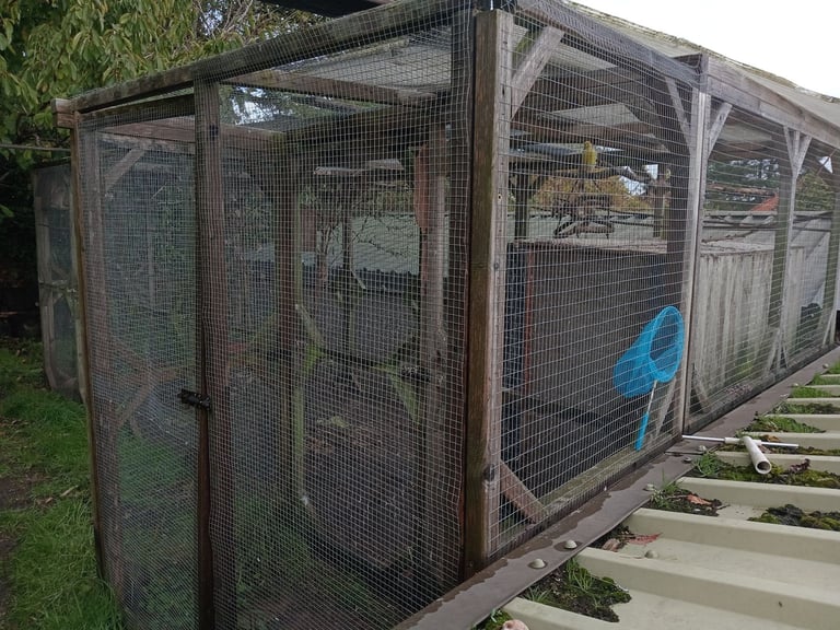 18 x 6 aviary with 6 x 3 porch