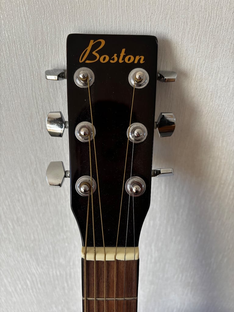 Acoustic Steel string guitar 