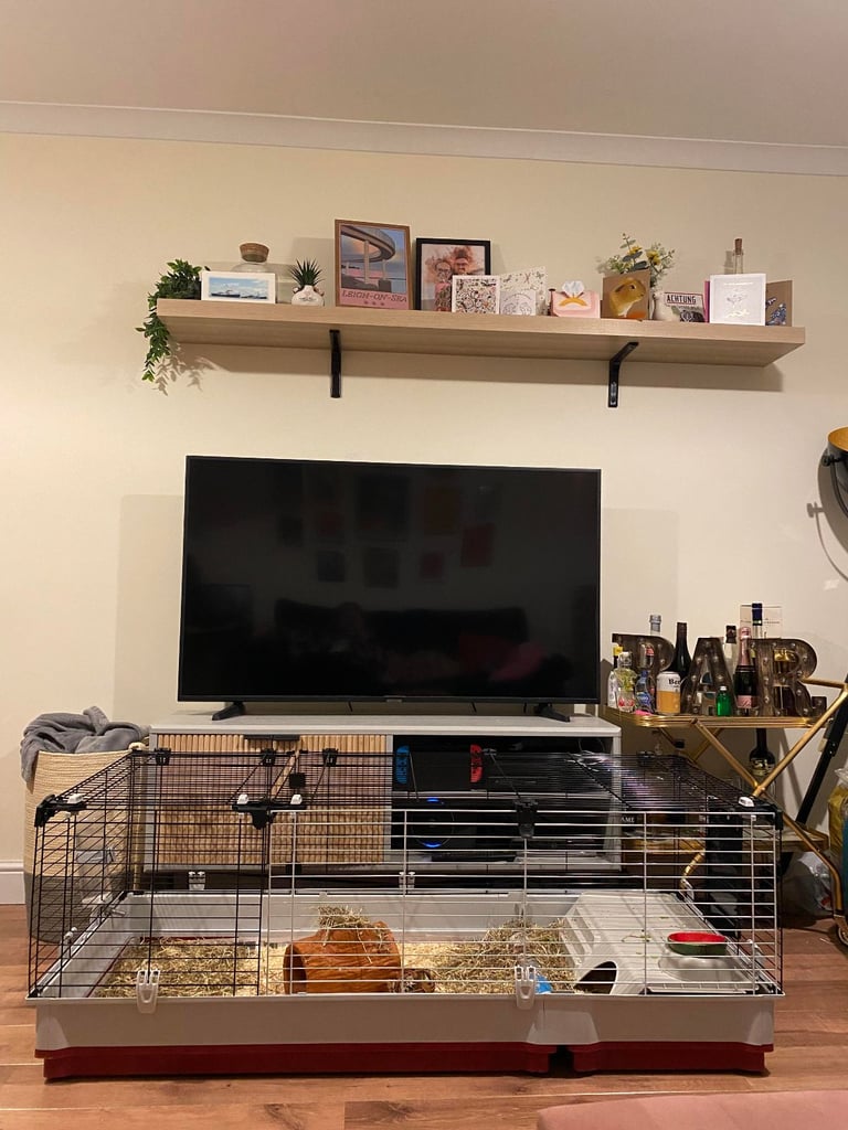 Large animal cage 142x70cm