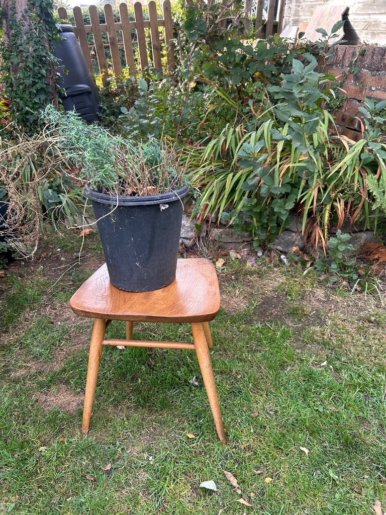 Stool Ercol ercol vintage midcentury retro