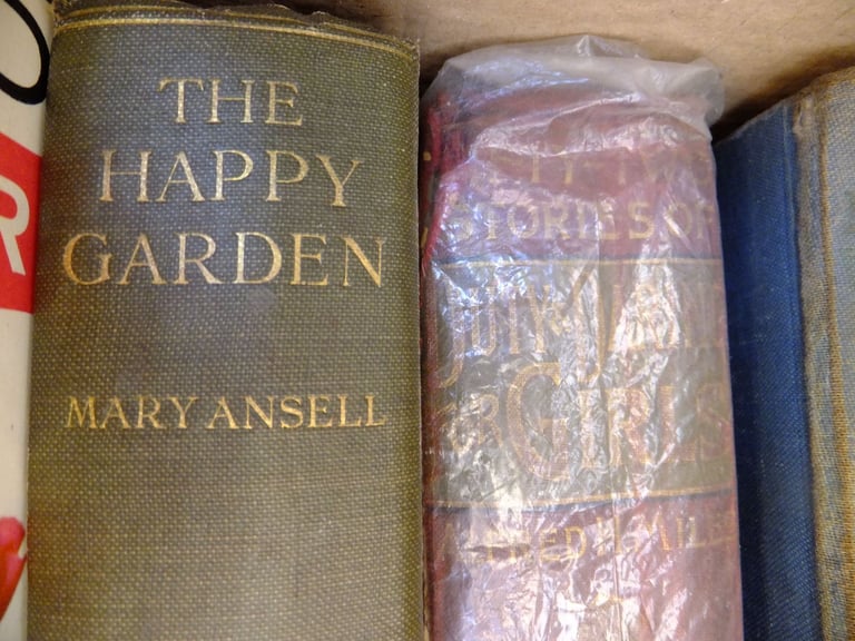 3 boxes Assorted books    [total 62 books]