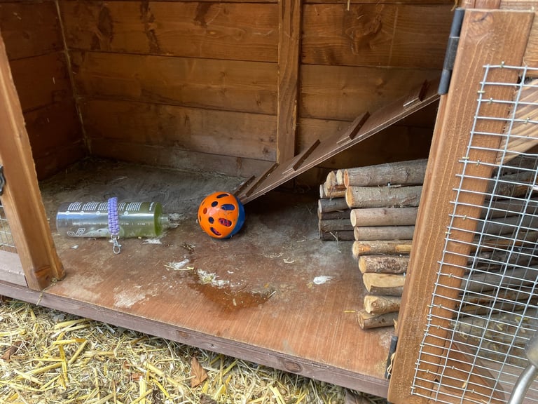 Rabbit hutch 