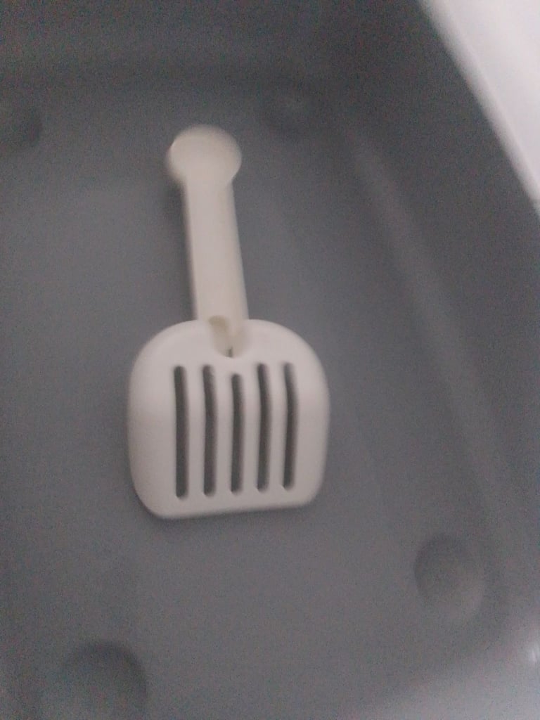 Kitten litter tray + scoop 