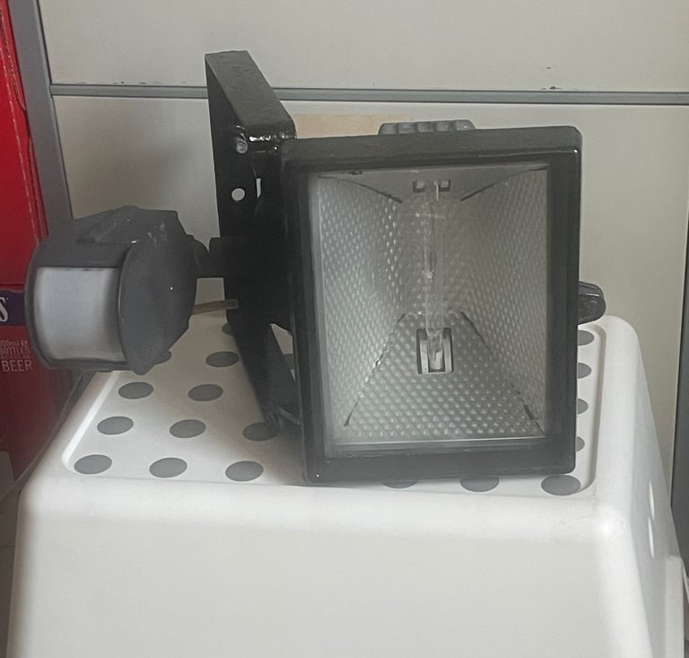 Security light 