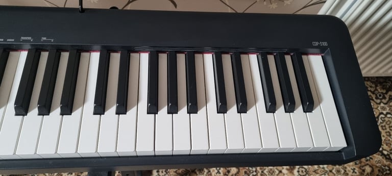 Casio CDP S100 Digital Piano. £255 on Amazon