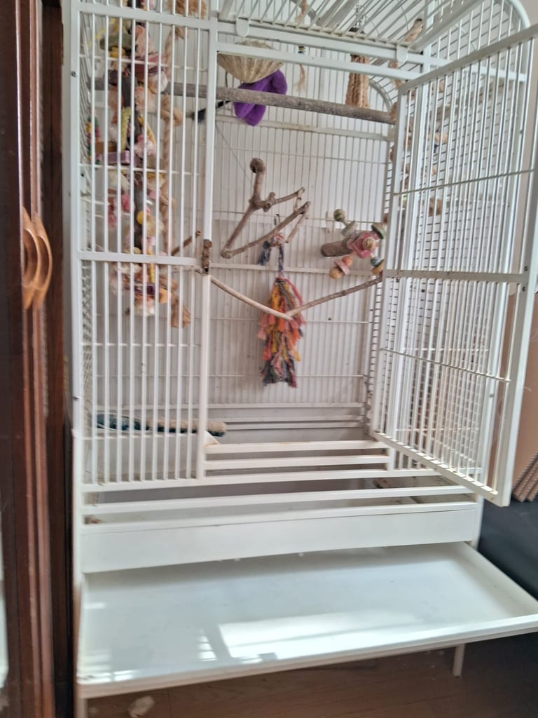 Extra large bird cage (5feet high and 2.5feet wide)
