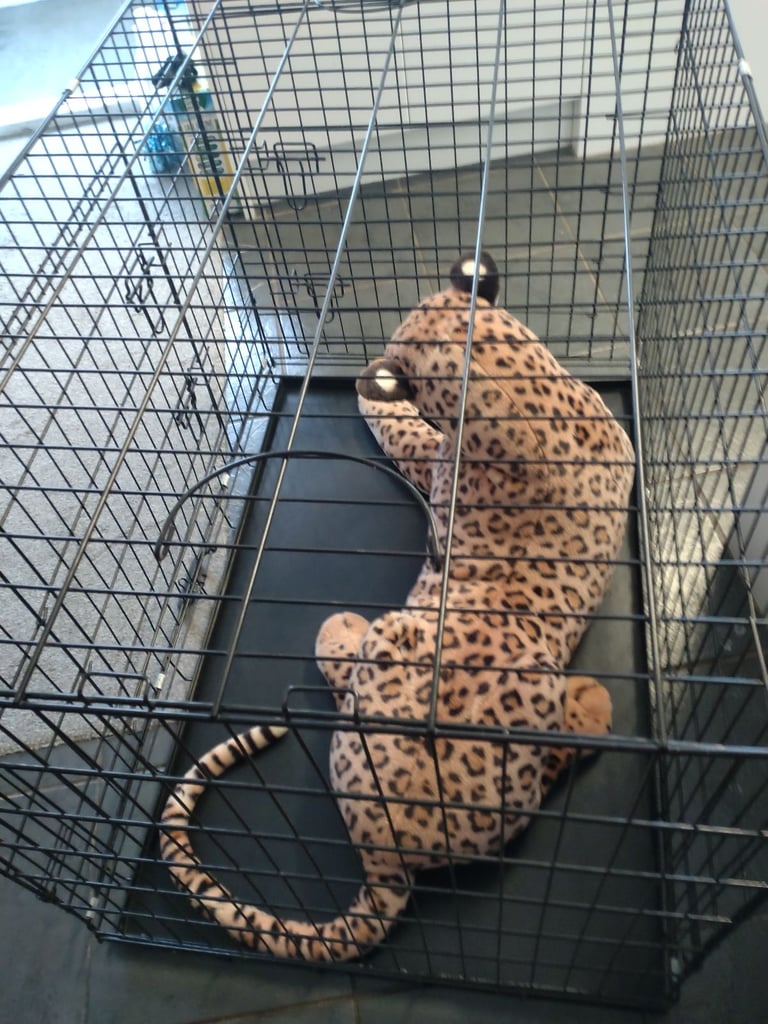 Very large dogs crate  ideal for large breed pick up only 