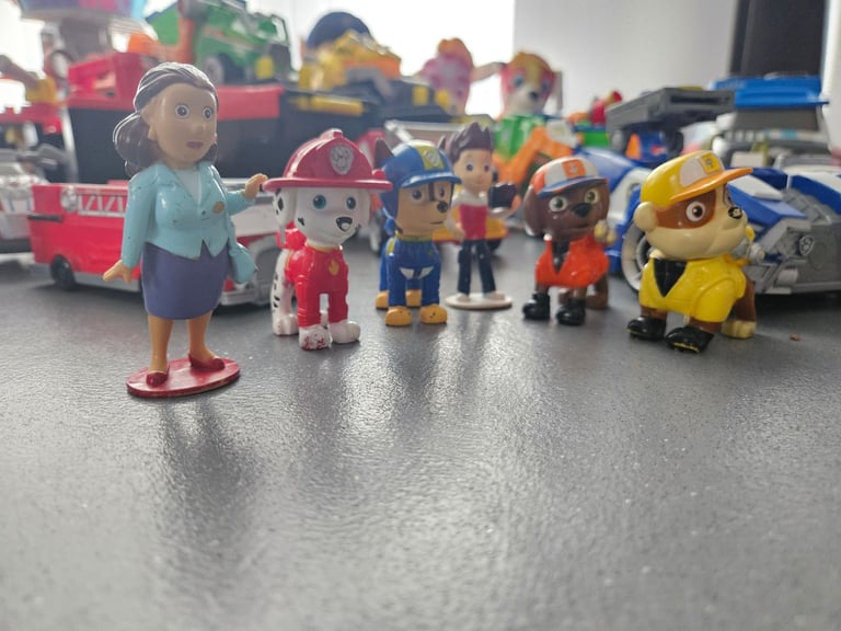 Paw patrol bundle 
