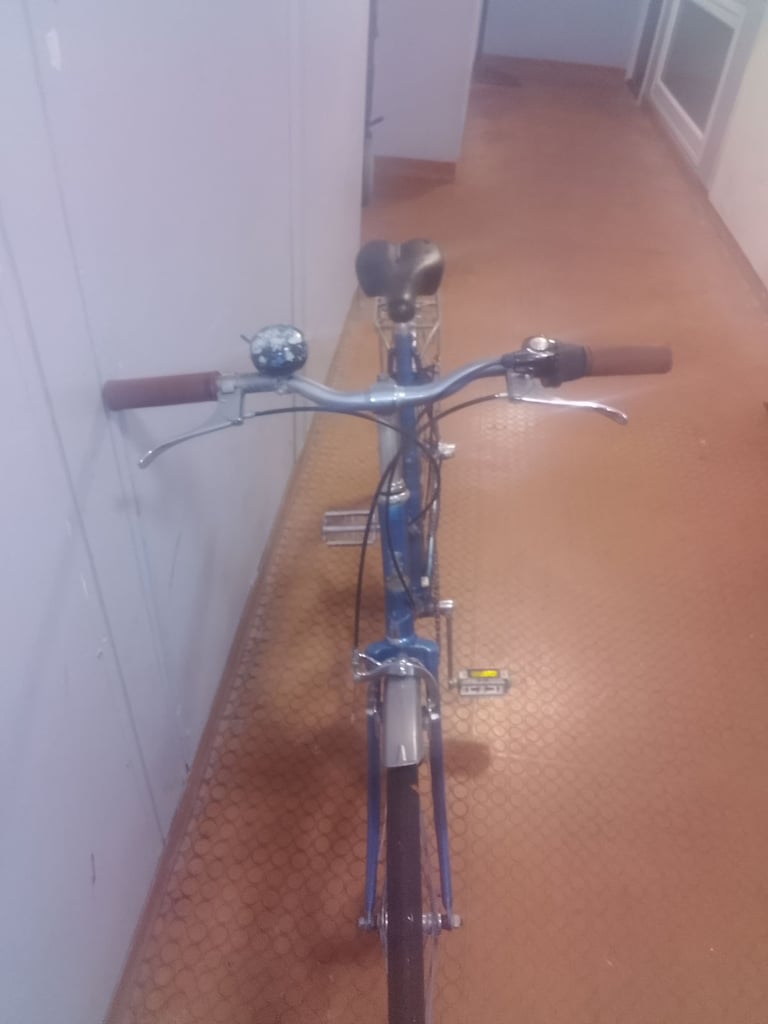 Female Dutch Style Bike