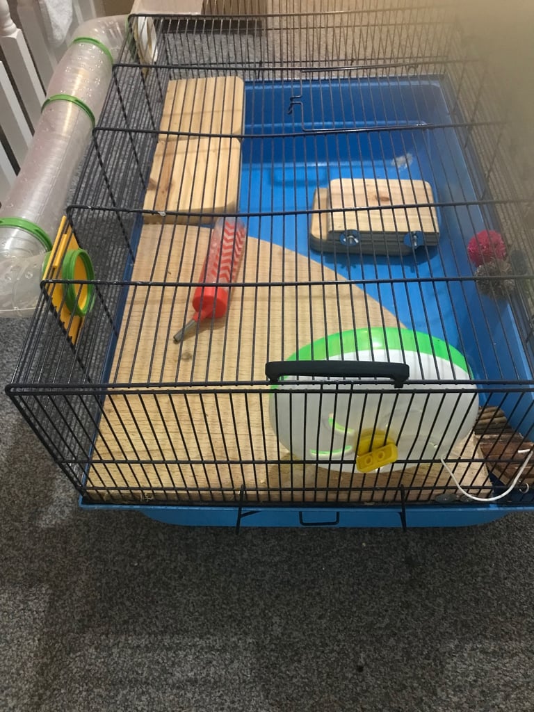 image for Hamster cage 