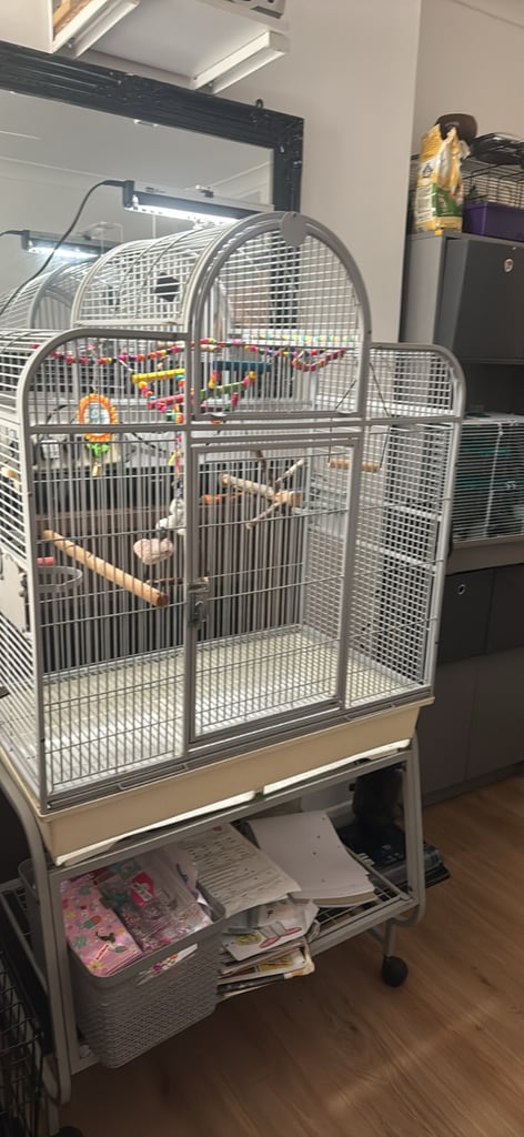 image for Bird cage and light 