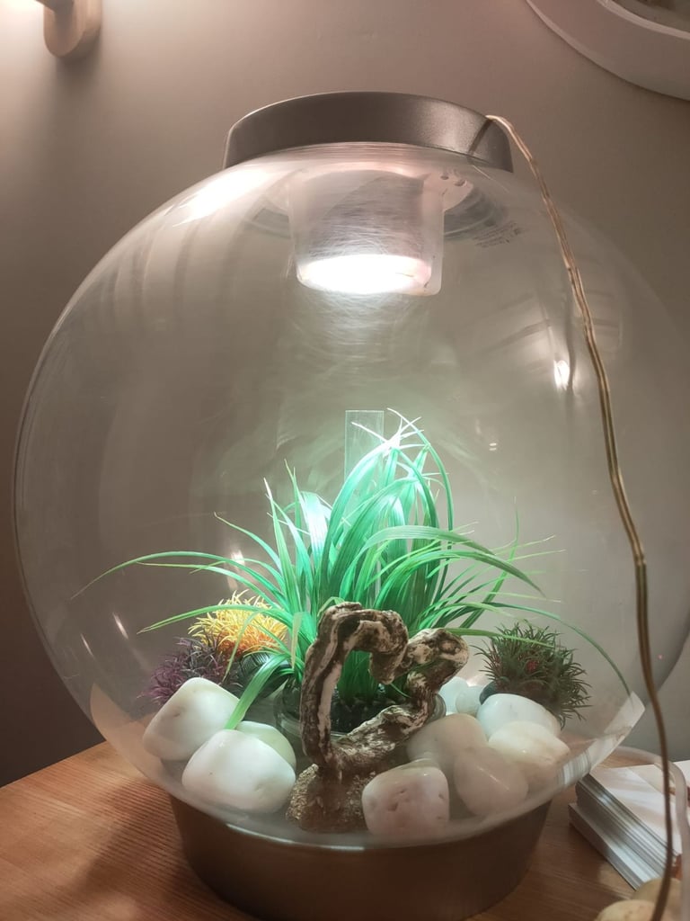 Biorb tank