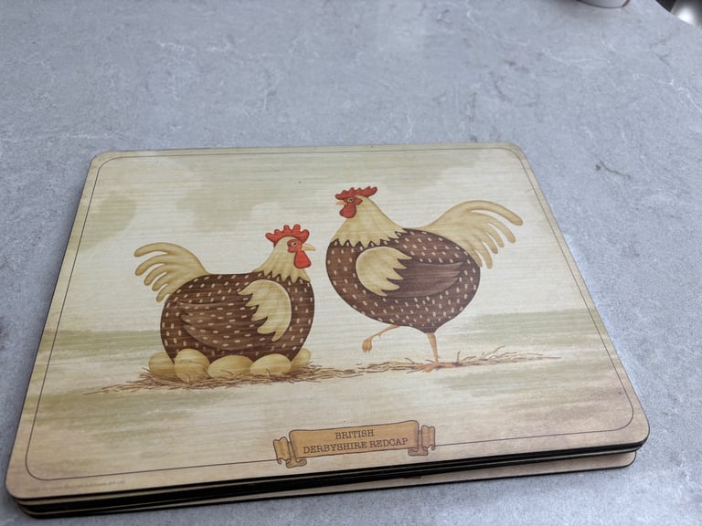 image for Denby place mats and coasters (6 each) NEW