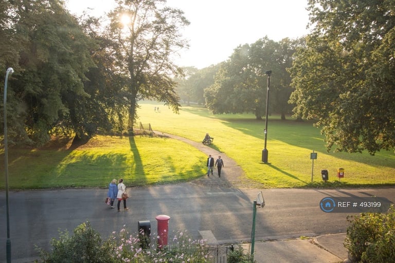 Studio flat in Studio Available Now - Pearson Park Apartments, Hull, HU5 (#493199)