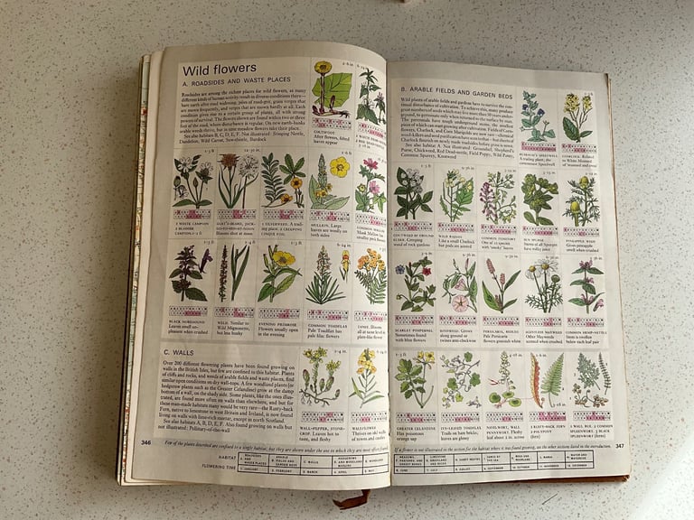 The Reader's Digest AA Book of the Road - Vintage book 1967, Maps, Flowers, Butterflies, Sea shells