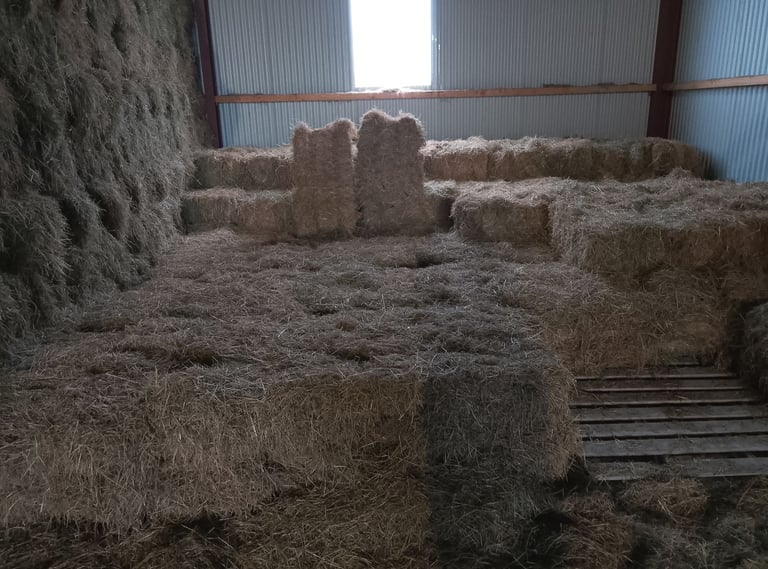 Hay for sale Kilrea