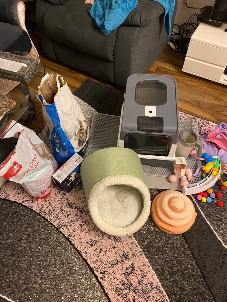 Complete Cat Accessories Bundle 