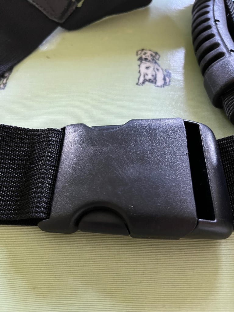 Pillion safety belt 