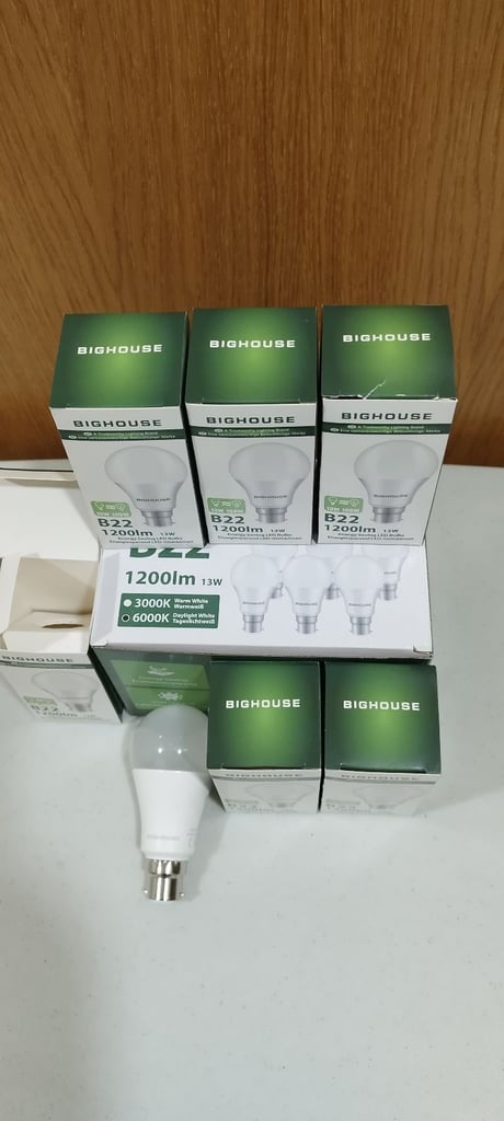 B22 1200lm 13W Energy Saving LED Bulbs