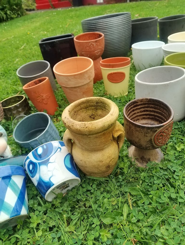Custom planters available for special occasions 