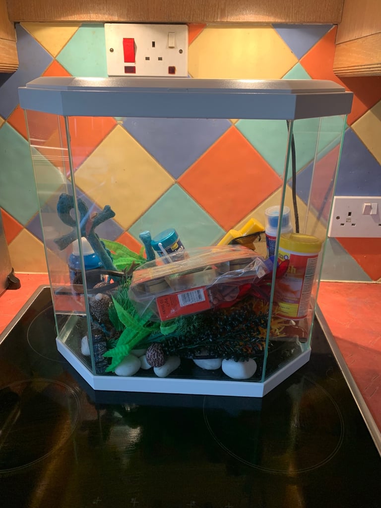 Fishtank and accessories 