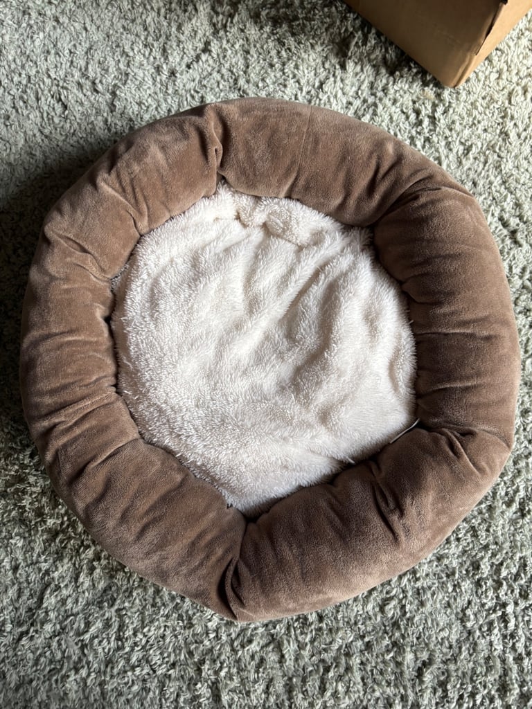 Small pet bed