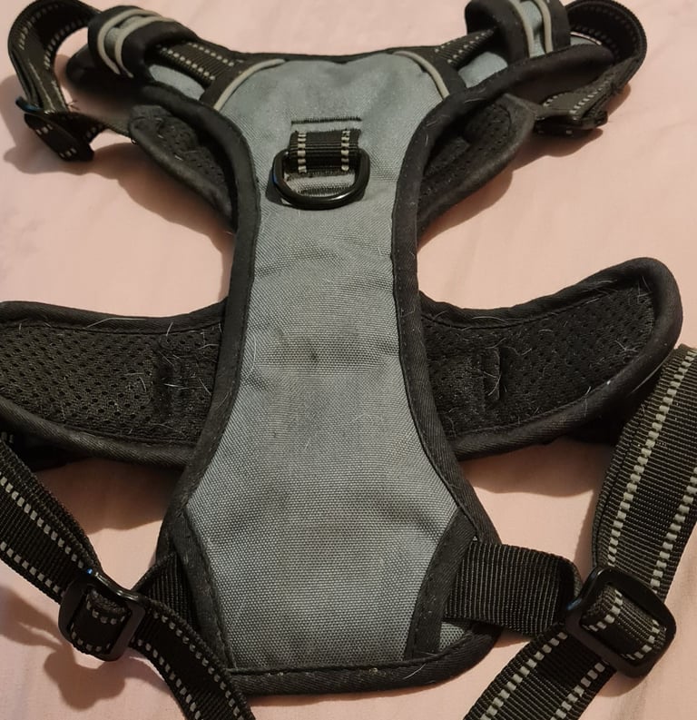 Dog Harness 
