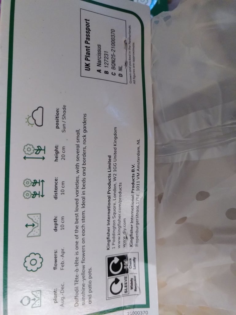 Daffodil, Crocus, & Allium bulbs 