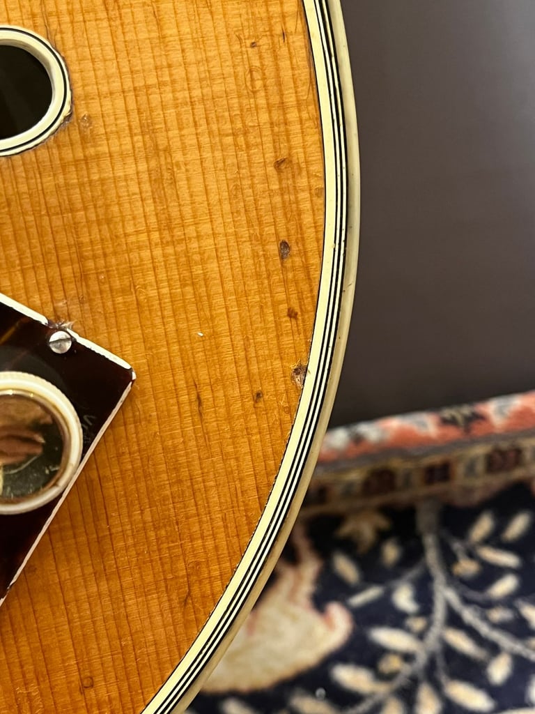 1959 Hofner Committee