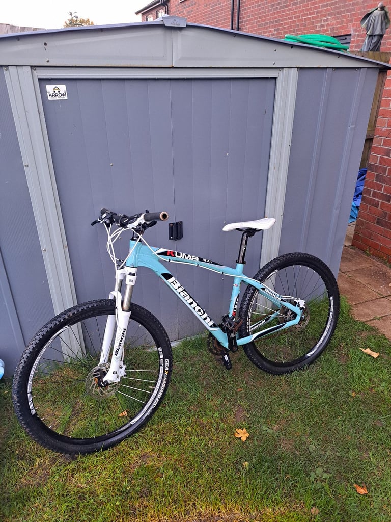 image for Bianchi kuma