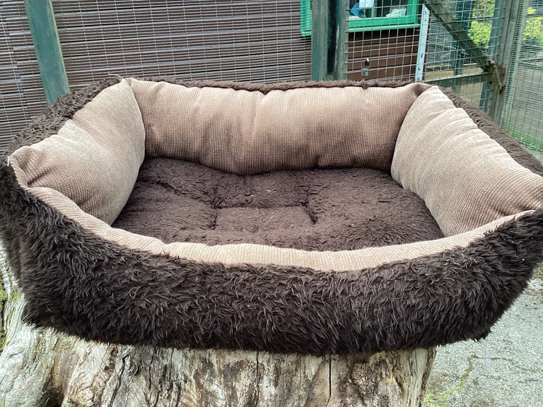 Large dog bed