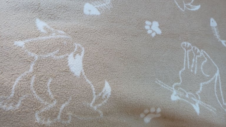 Cat beds, caves, blankets, grooming, scratch posts,litter tray