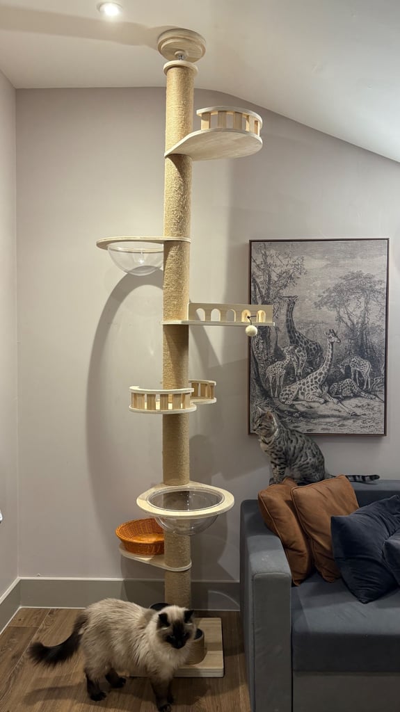 Cat Tower / Cat Tree