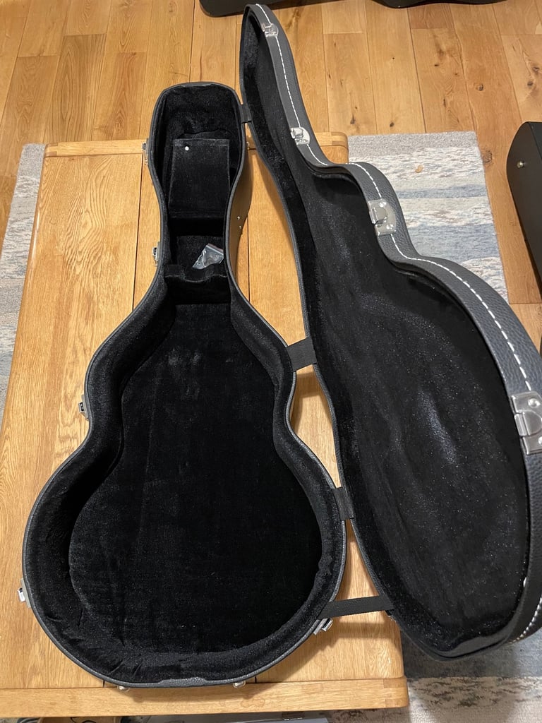 Vintage 12 string V1700-N12