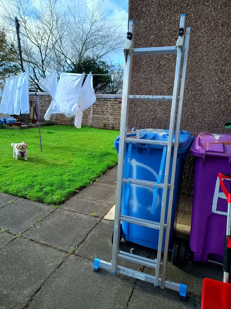 McAllister ladders 3 way