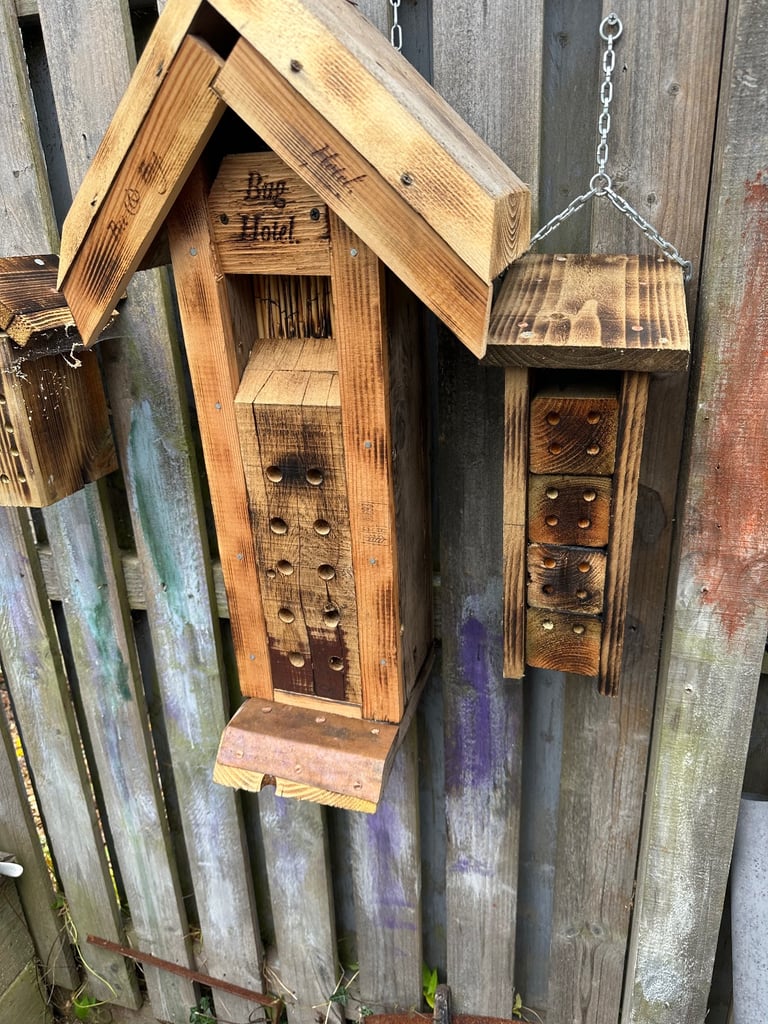 image for Bee & Bug Hotels 