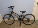 Apollo Kinx Mountain Bike (Free delivery)
