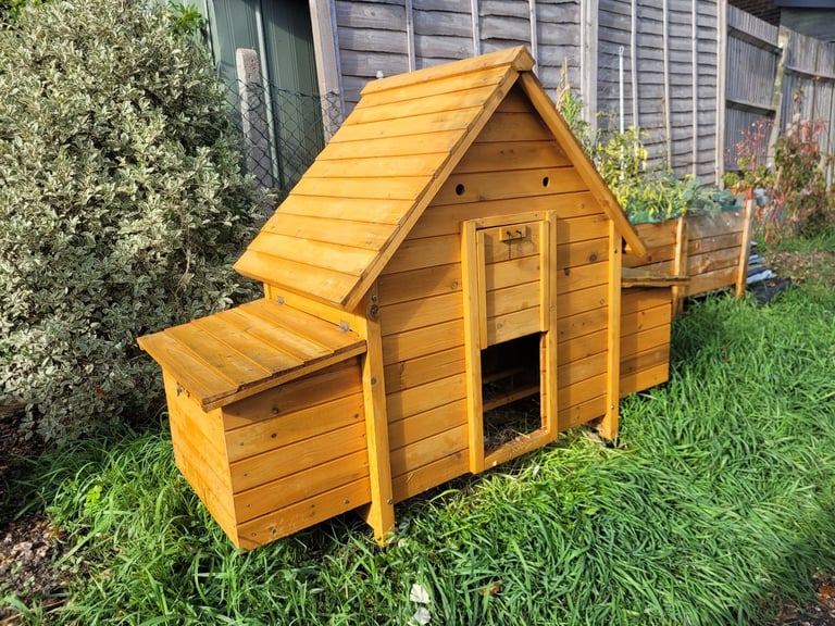 Cocoon Chicken Co-op