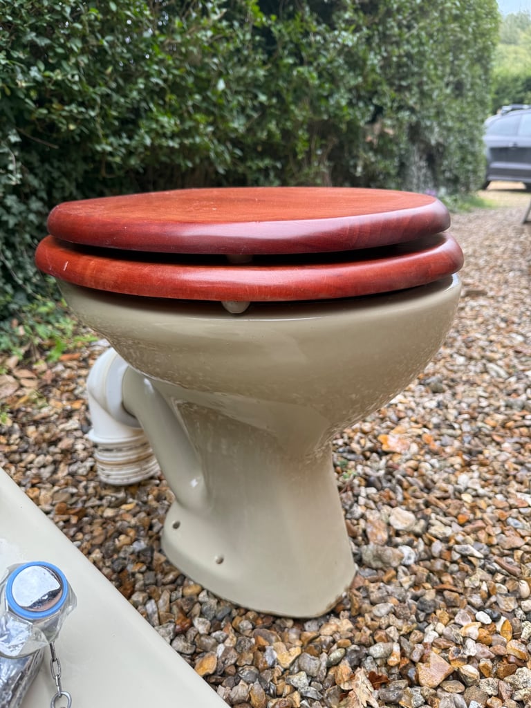 Avocado toilet and sink