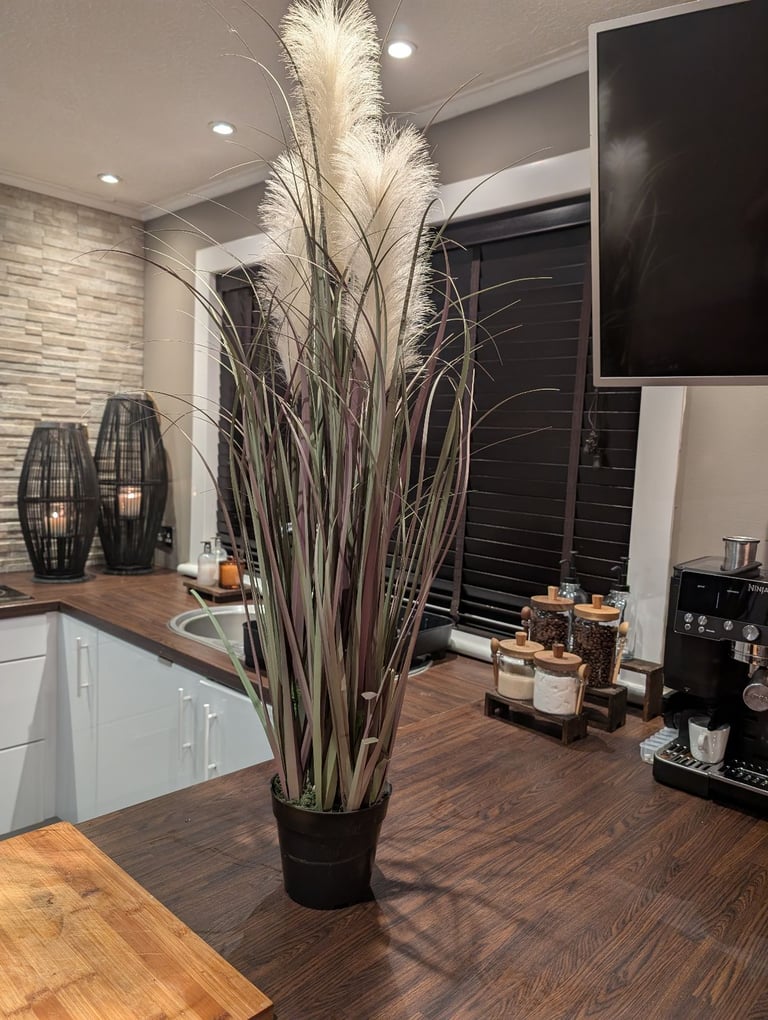 image for Free Glasgow delivery.....100cm artificial pampus grass plant. paid £50 almost